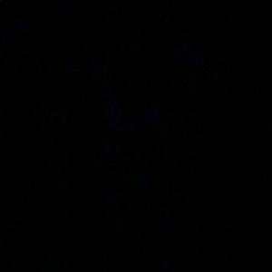 Meet your Posher, Diego